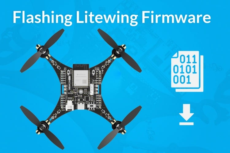 Flashing Litewing Firmware