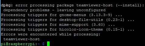 Installing TeamViewer on Raspberry Pi