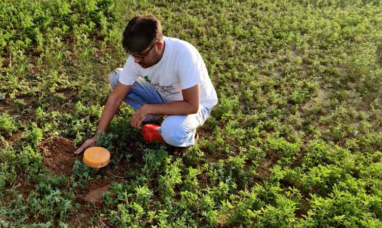 Data-driven Precision Farming 