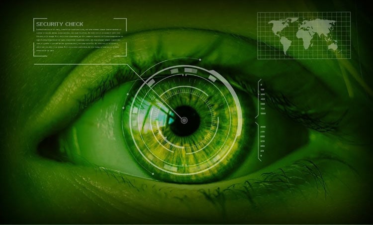 Iris and Retina Scanning Technology