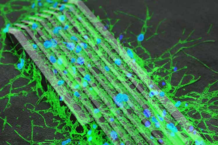 Lego-Like Magnetic Microbots