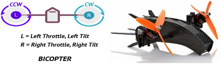 Bicopter drone frame showing dual motor arrangement and propeller configuration