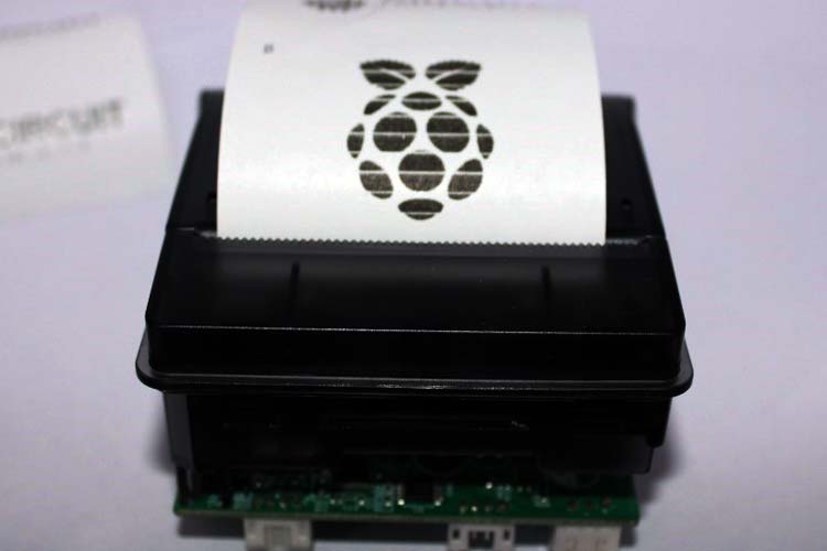 Logo and graphics printed on thermal receipt using Raspberry Pi thermal printer showing image rendering capability