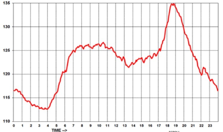  A typical all-India daily load curve