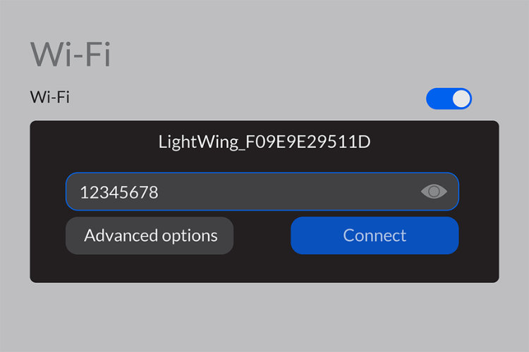 Mobile App Connection Screen in LiteWing