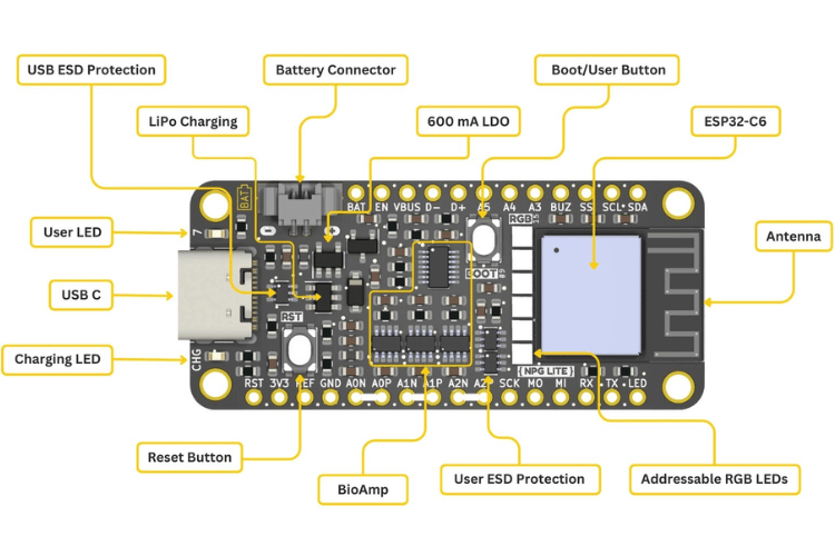 Neuro PlayGround Lite Features