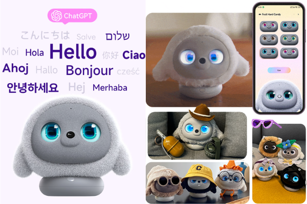 Ropet Languages and App and Customization