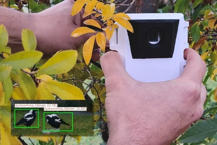 Edge AI Wildlife Detection Using Raspberry Pi Zero