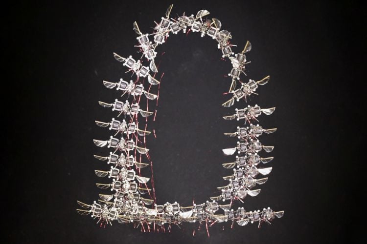 Time-lapse of a Microrobot Executing a Flip