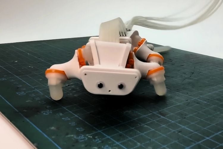 Salamander Robot Upgraded with Flexible Spine Movement