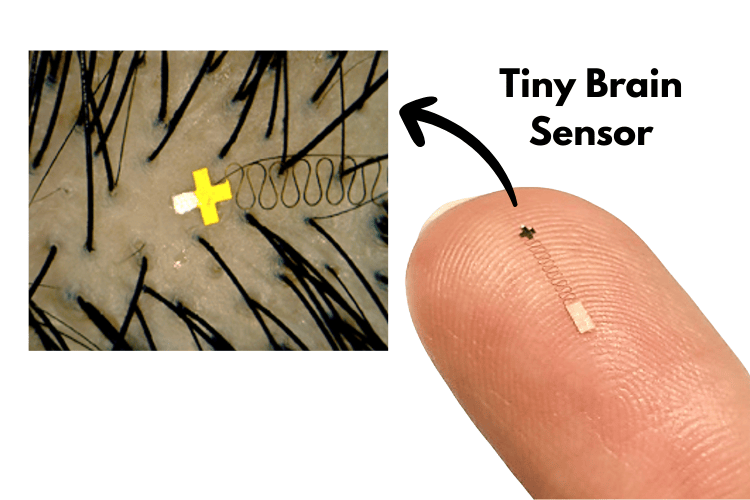 Tiny Brain Sensor that Fits Between Hair Strands