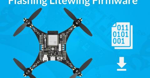 Flashing Litewing Firmware