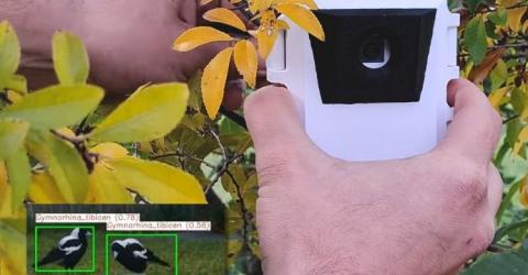 Edge AI Wildlife Detection Using Raspberry Pi Zero