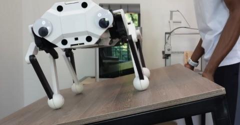 CARA: Rope-Driven Robot Dog Without Gears