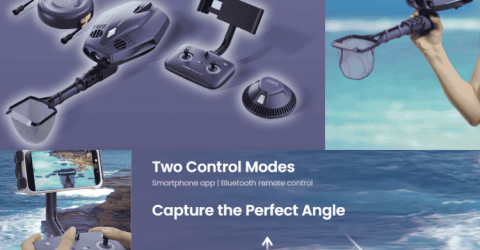 Dory Explore Your Underwater Treasure Hunting Companion