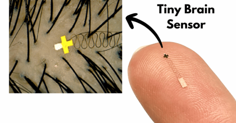 Tiny Brain Sensor that Fits Between Hair Strands