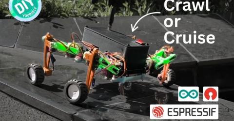 An Hybrid Robot that can Crawl or Cruise