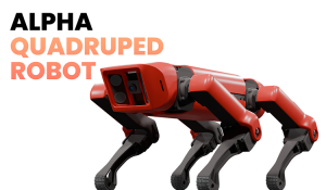 Integration of Edge AI and Robotics into A Quadruped Robot Dog
