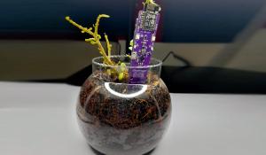 IoT Based Soil Moisture Monitoring Device