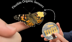 Flexible Organic Sensors