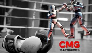 Humanoid Robots Face Off in Kickboxing Debut