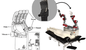The Massage Robotic Arms
