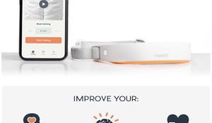 Mendi: Real Brain Training using Neurofeedback Technology