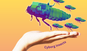 Cyborg Insect for Search and Rescue Operations