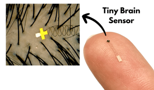 Tiny Brain Sensor that Fits Between Hair Strands