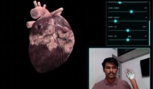 Bio-Vision Touchless Hand Gesture Interface