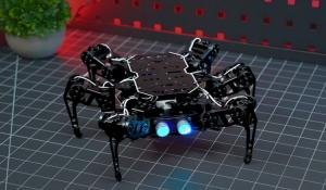 Hiwonder's AI Hexapod Robot