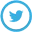 twitter icon